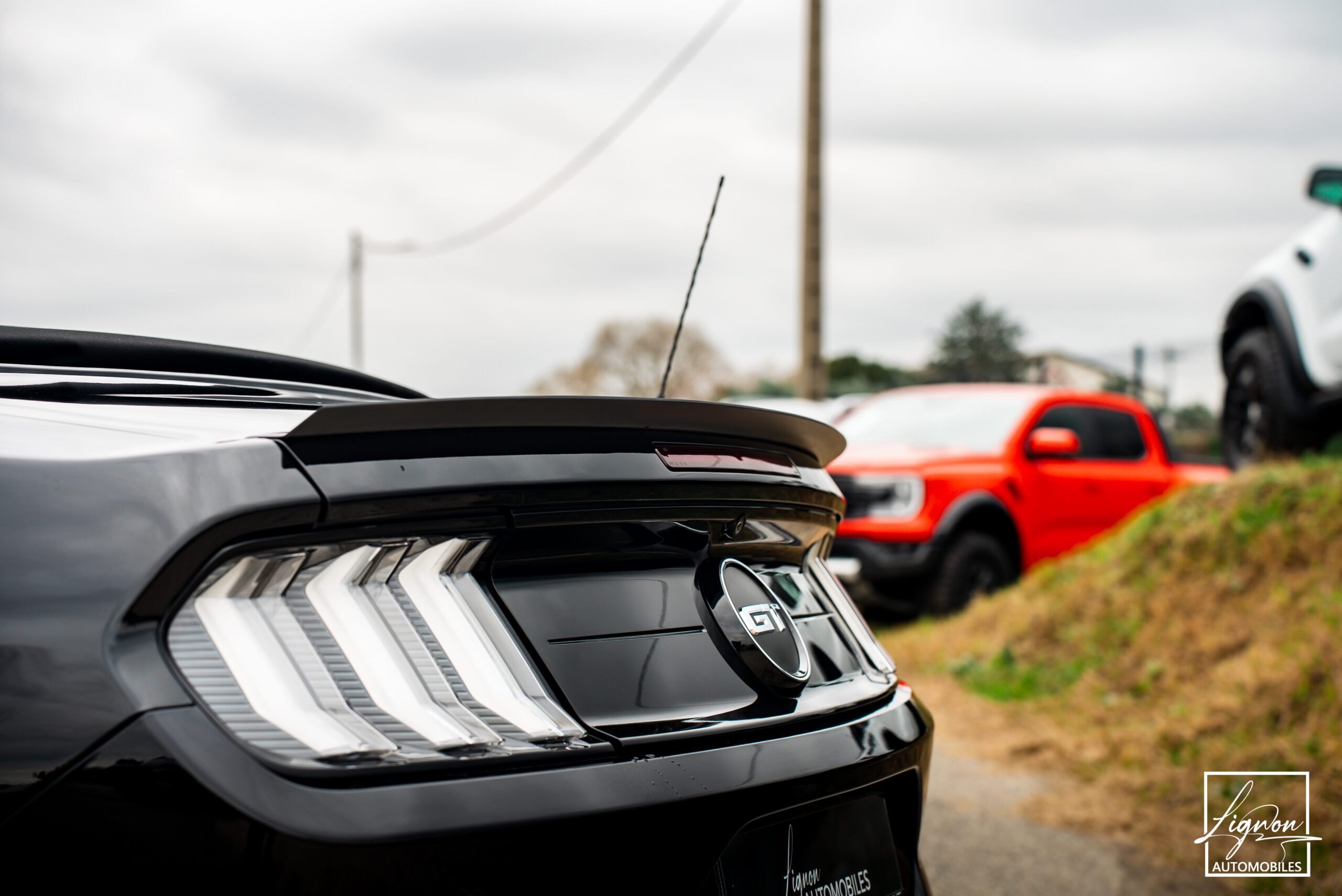 Photo Ford Mustang Cabriolet Gt 5.0l V8 450 Bva10 Premium - Magneride