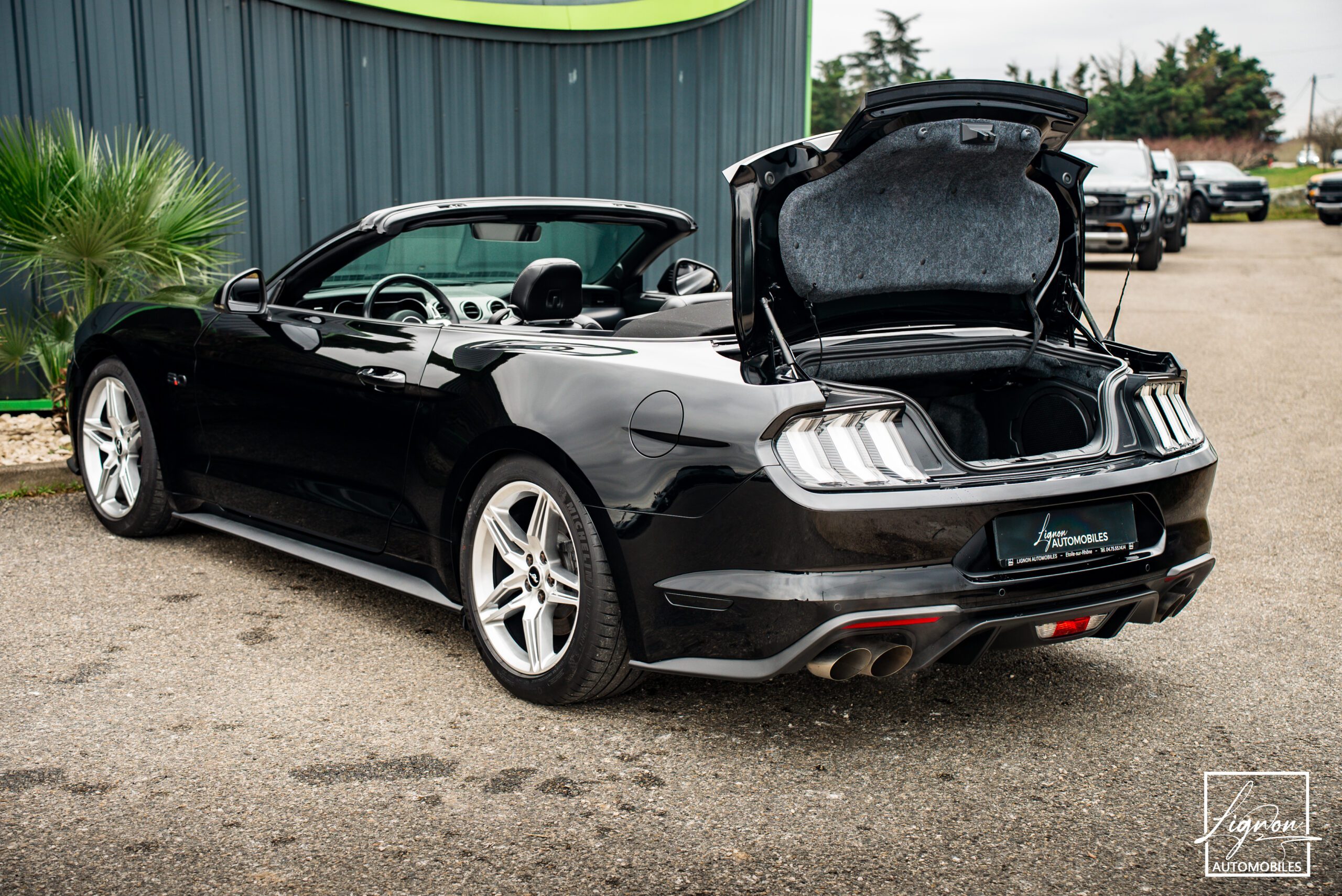 Photo Ford Mustang Cabriolet Gt 5.0l V8 450 Bva10 Premium - Magneride