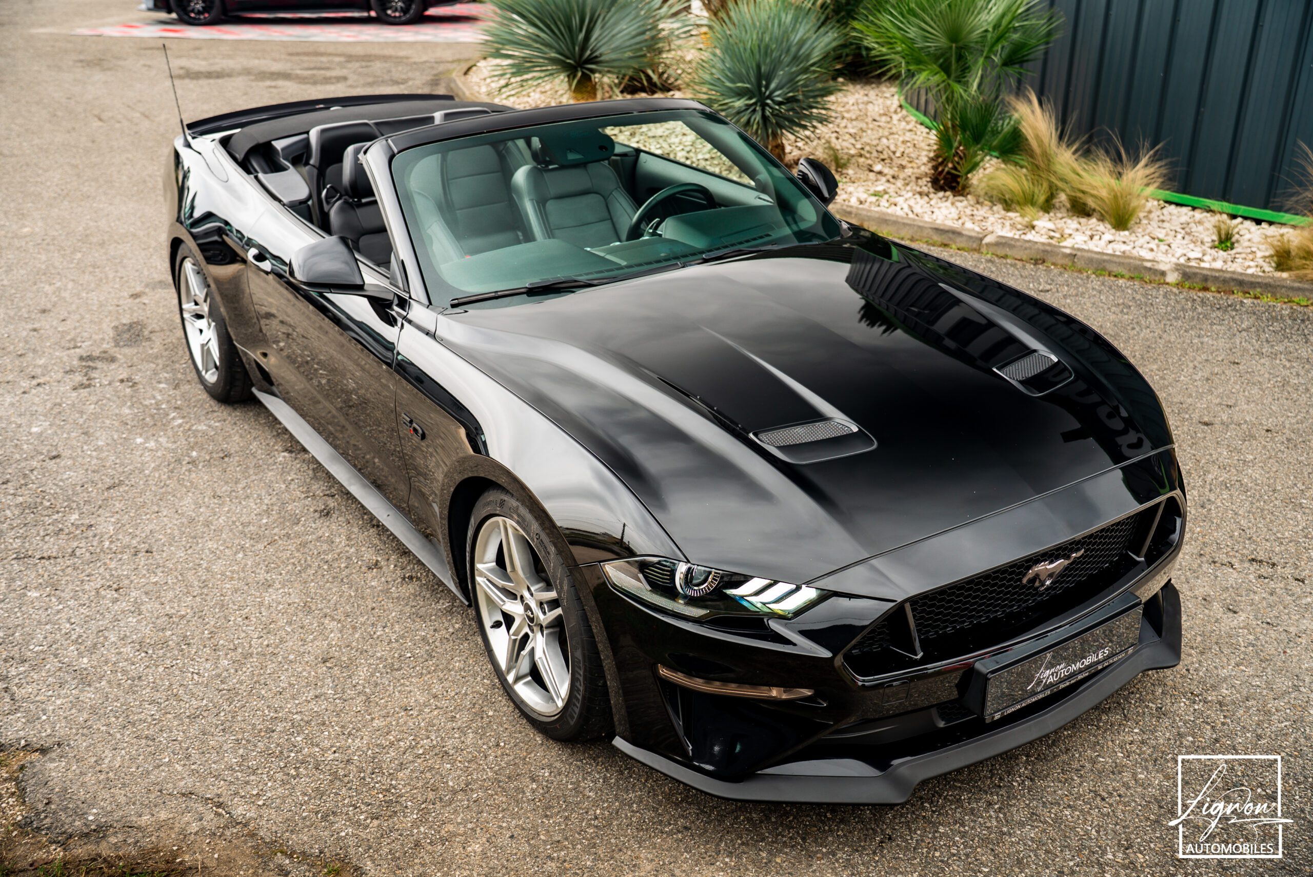 Photo Ford Mustang Cabriolet Gt 5.0l V8 450 Bva10 Premium - Magneride