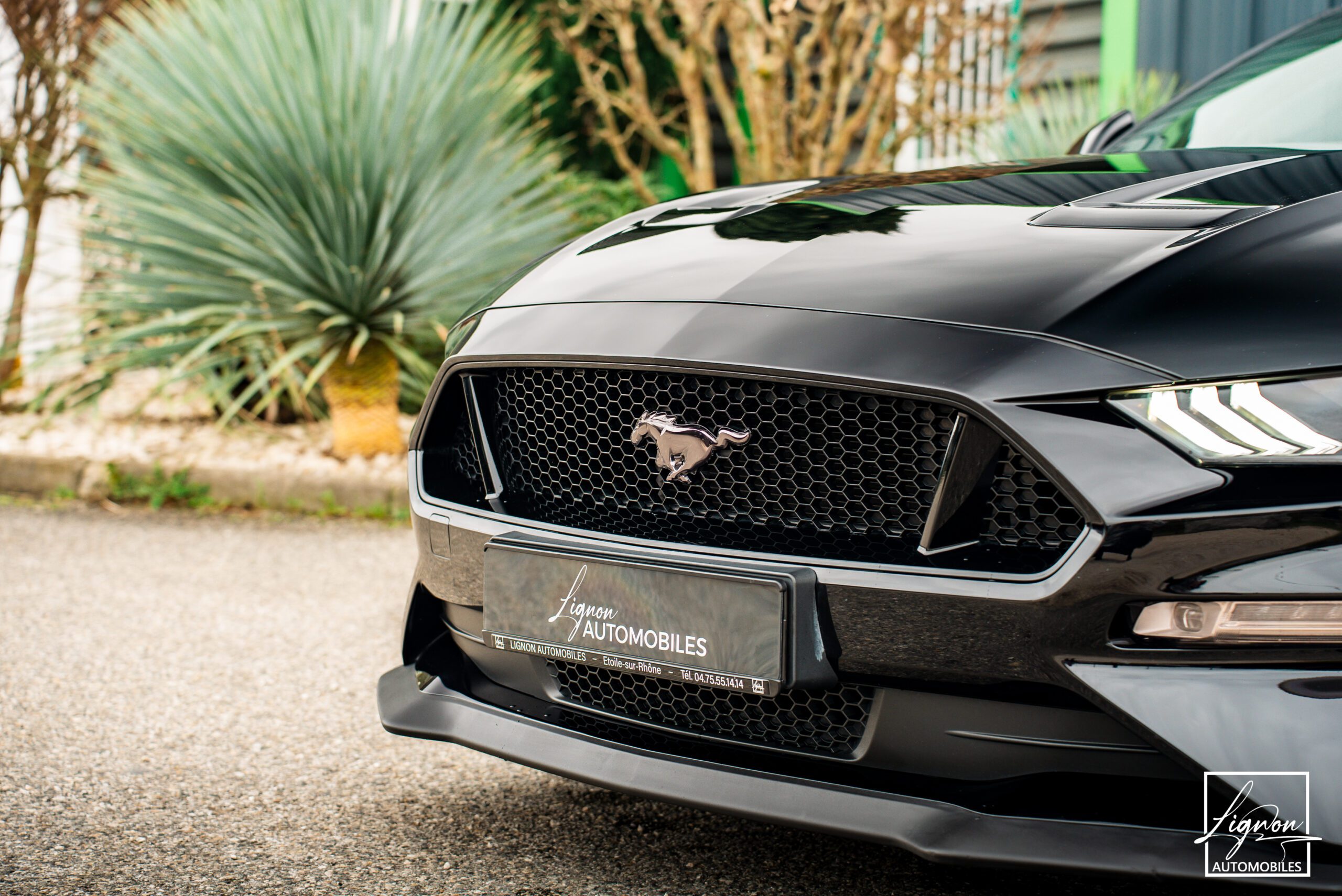 Photo Ford Mustang Cabriolet Gt 5.0l V8 450 Bva10 Premium - Magneride
