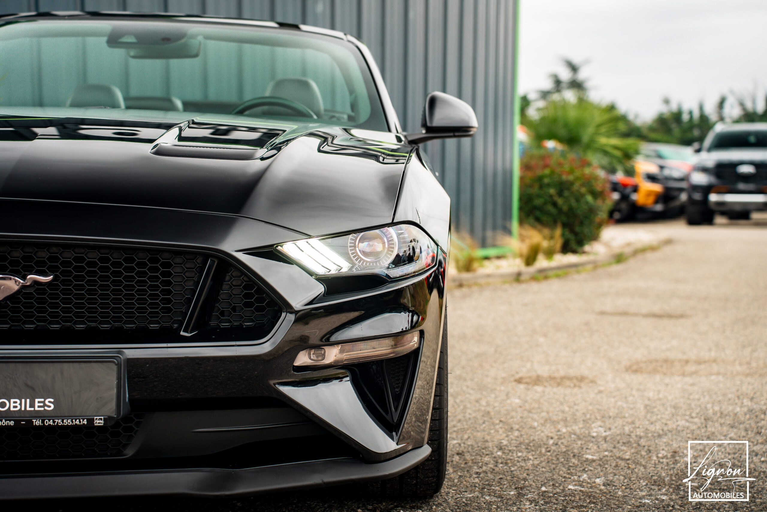 Photo Ford Mustang Cabriolet Gt 5.0l V8 450 Bva10 Premium - Magneride