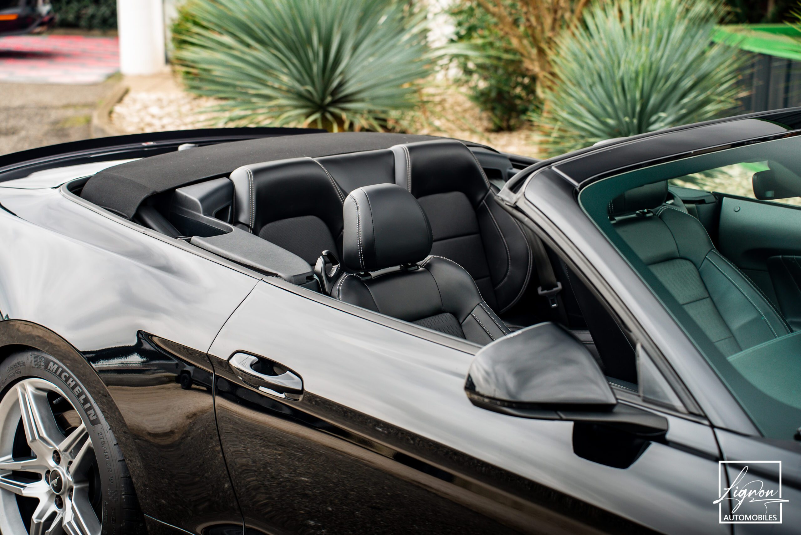 Photo Ford Mustang Cabriolet Gt 5.0l V8 450 Bva10 Premium - Magneride