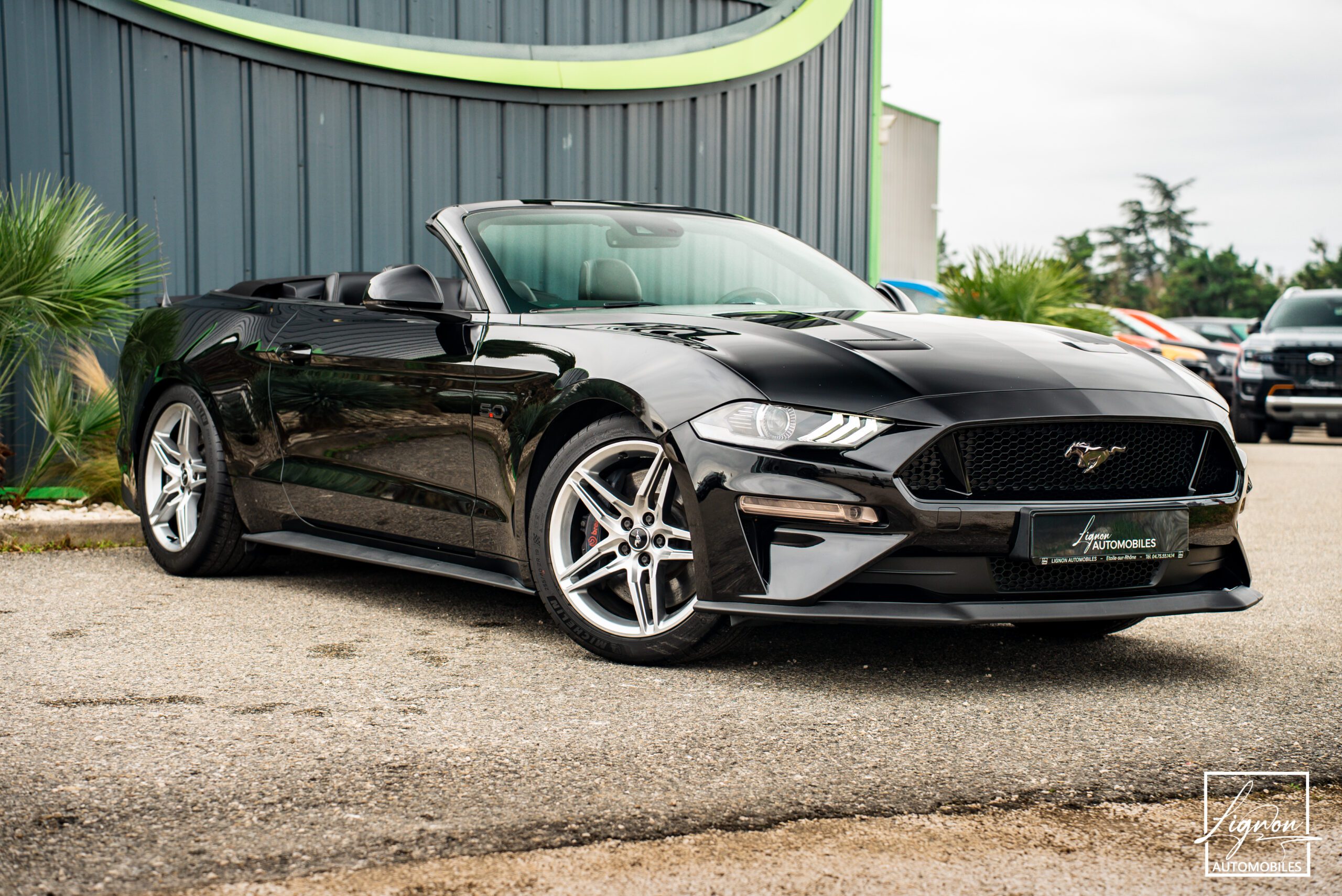 Ford Mustang Cabriolet Gt 5.0l V8 450 Bva10 Premium - Magneride
