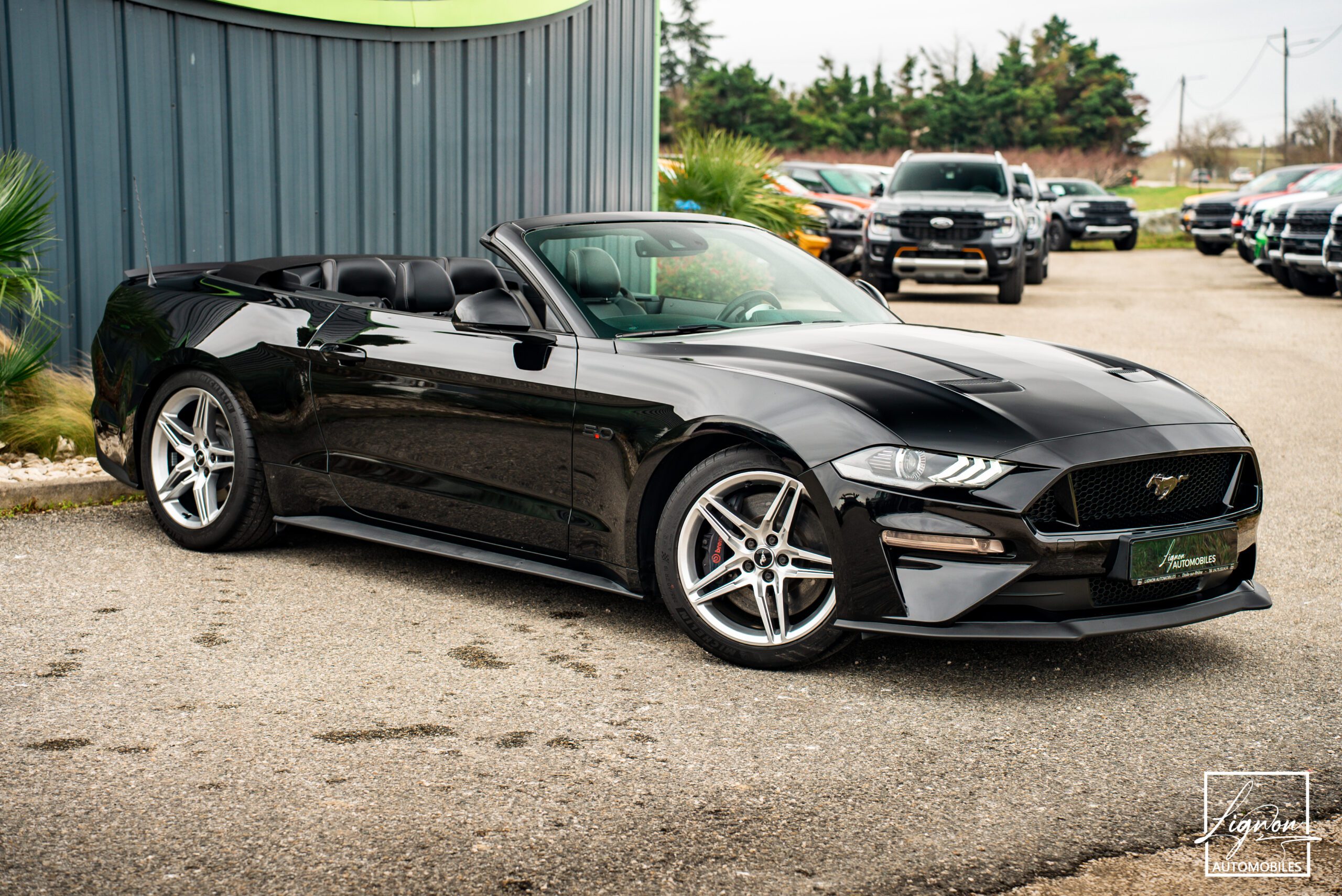 Photo Ford Mustang Cabriolet Gt 5.0l V8 450 Bva10 Premium - Magneride