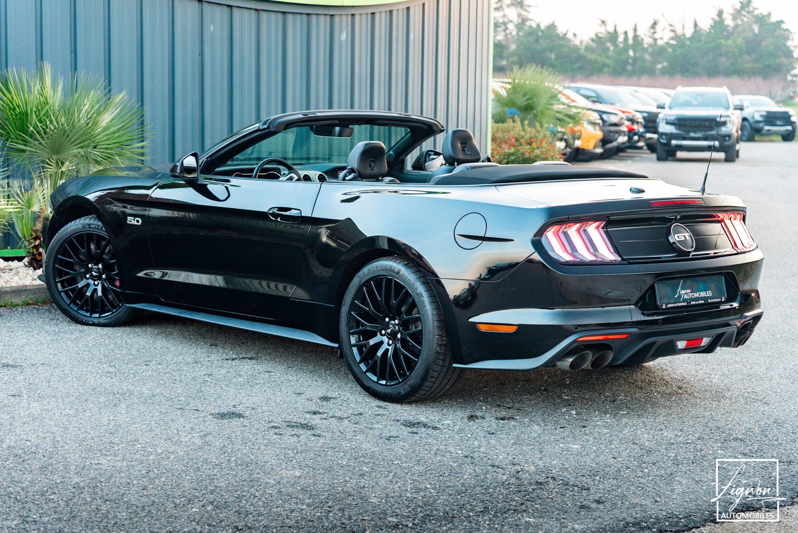 Photo Ford Mustang Cabriolet Gt 5.0l V8 450 Bva10 Premium