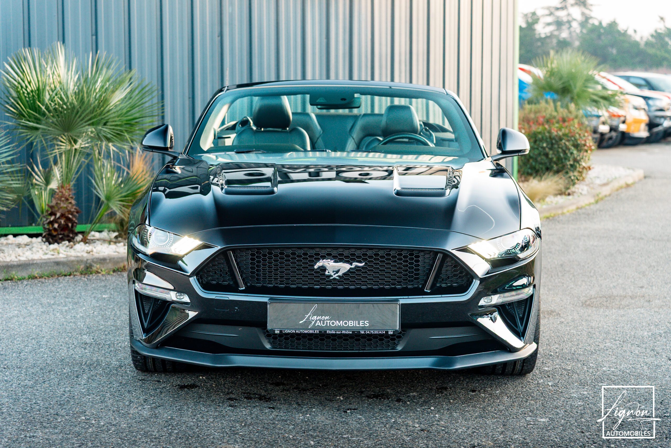 Photo Ford Mustang Cabriolet Gt 5.0l V8 450 Bva10 Premium