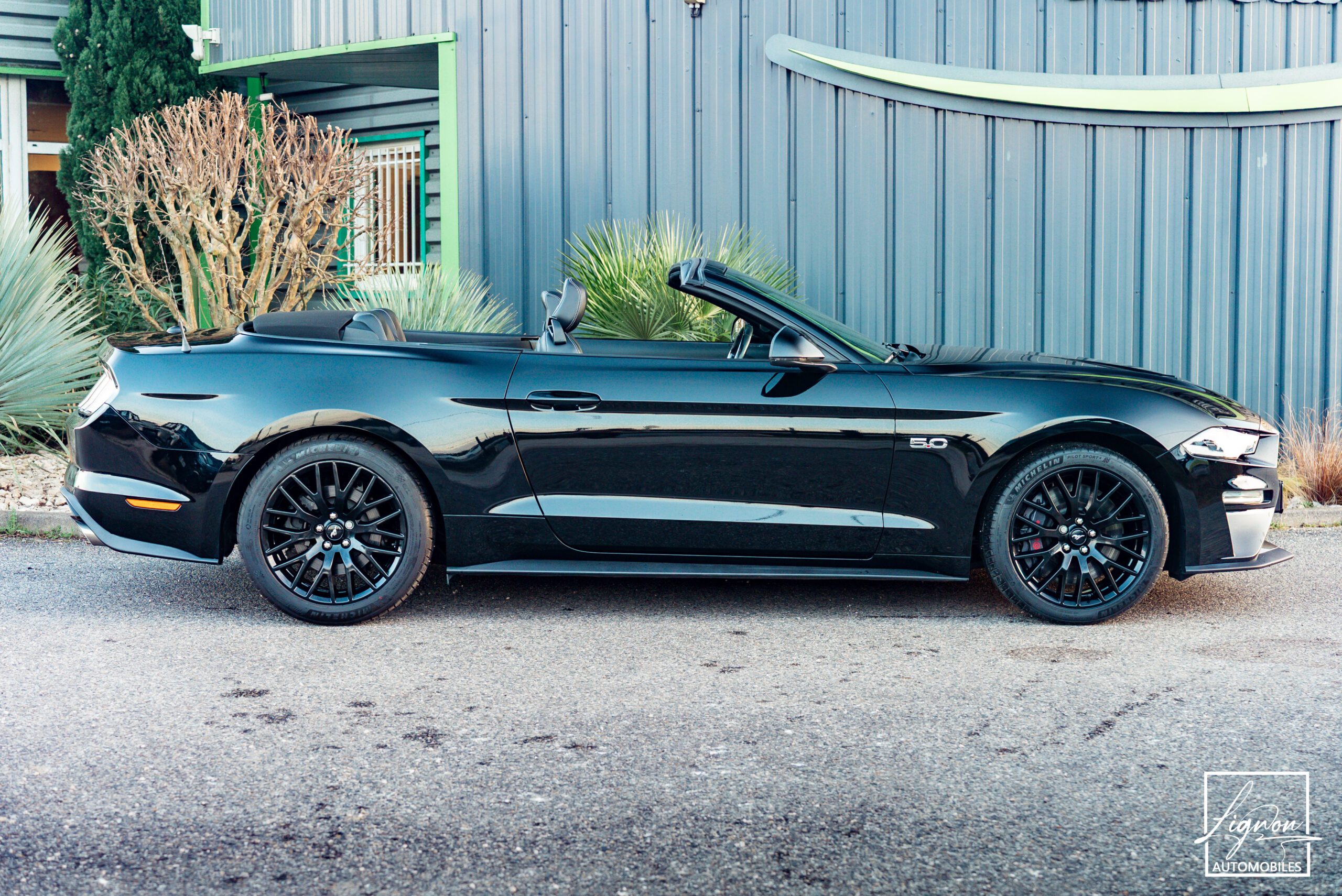 Photo Ford Mustang Cabriolet Gt 5.0l V8 450 Bva10 Premium