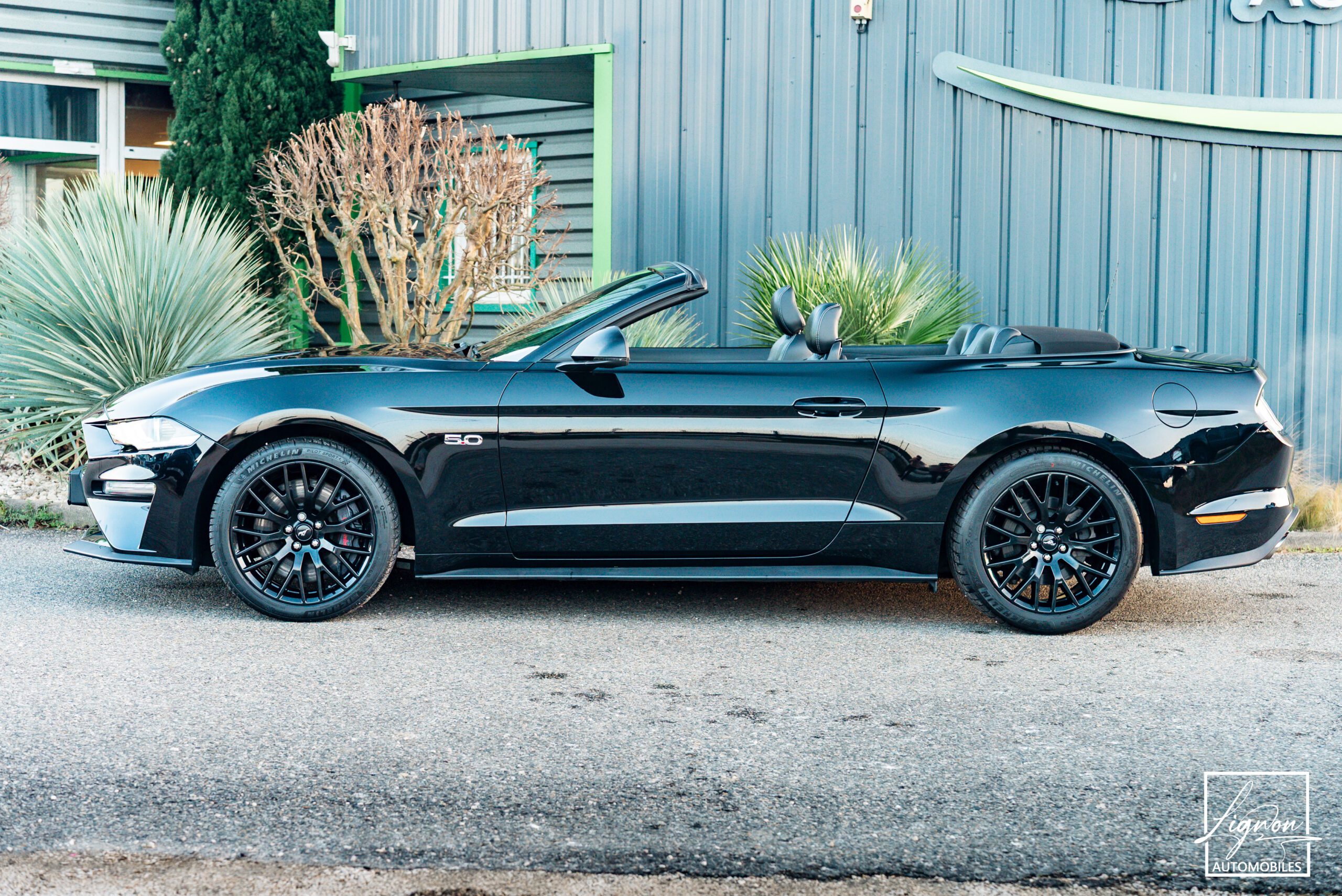 Photo Ford Mustang Cabriolet Gt 5.0l V8 450 Bva10 Premium