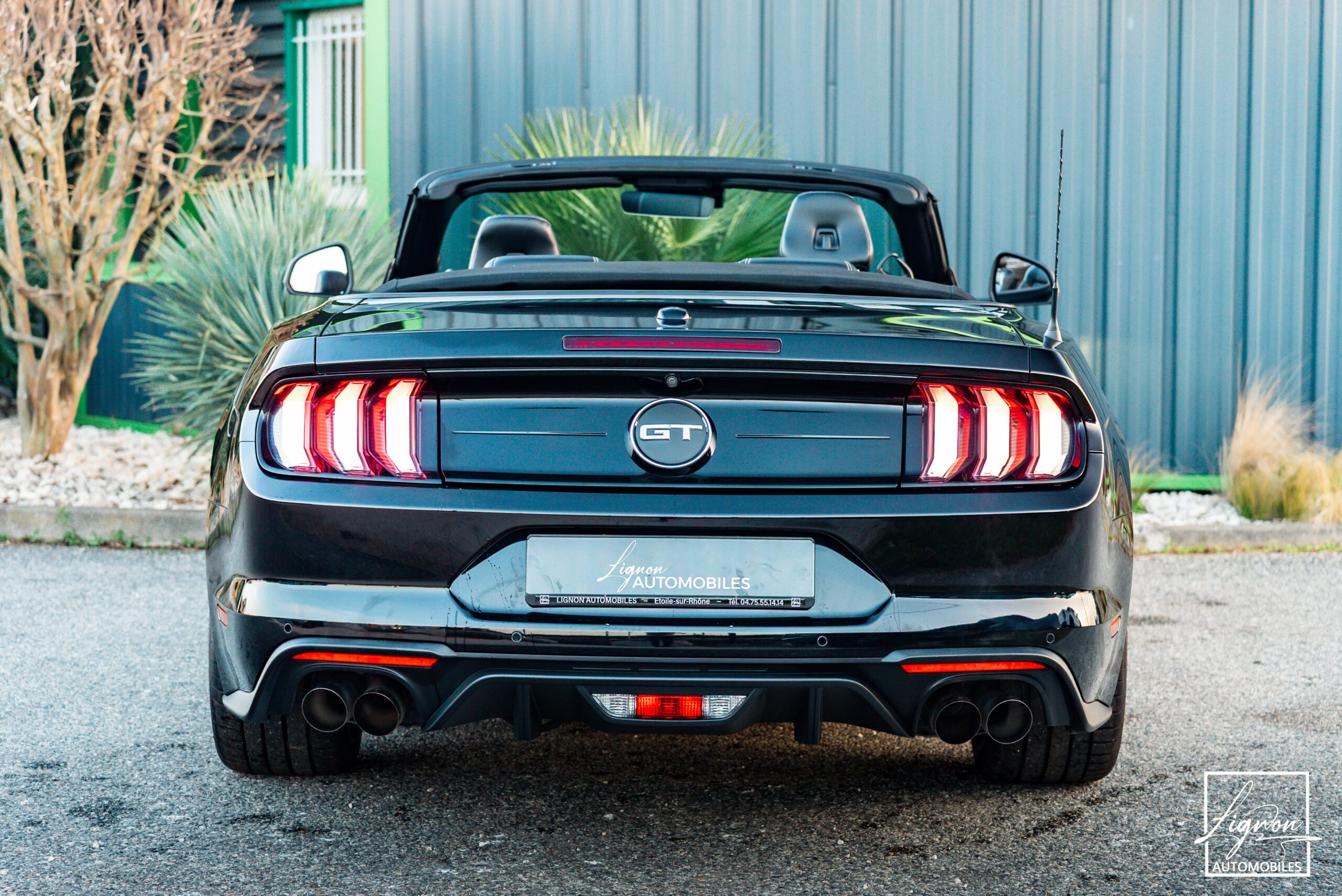Photo Ford Mustang Cabriolet Gt 5.0l V8 450 Bva10 Premium