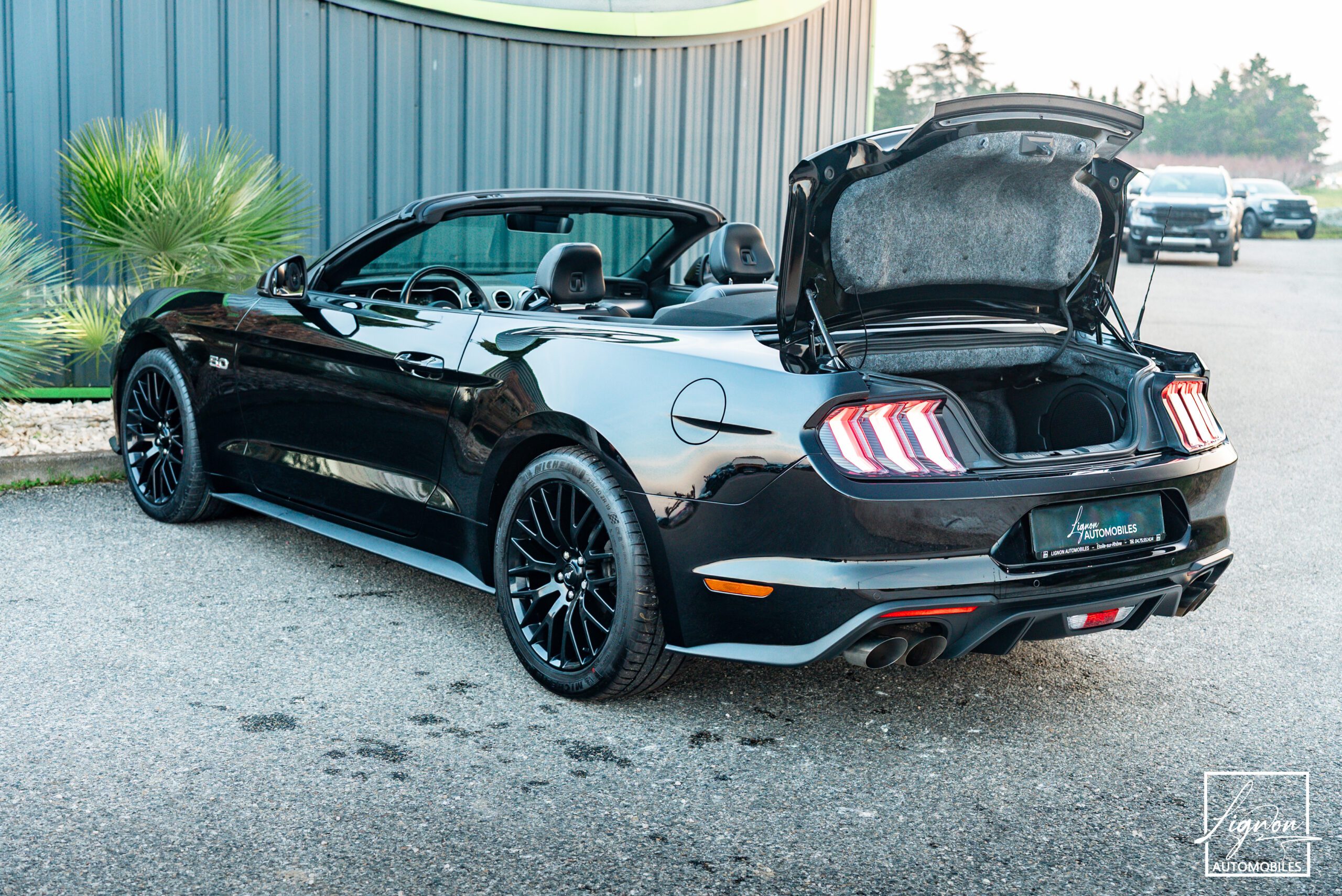 Photo Ford Mustang Cabriolet Gt 5.0l V8 450 Bva10 Premium