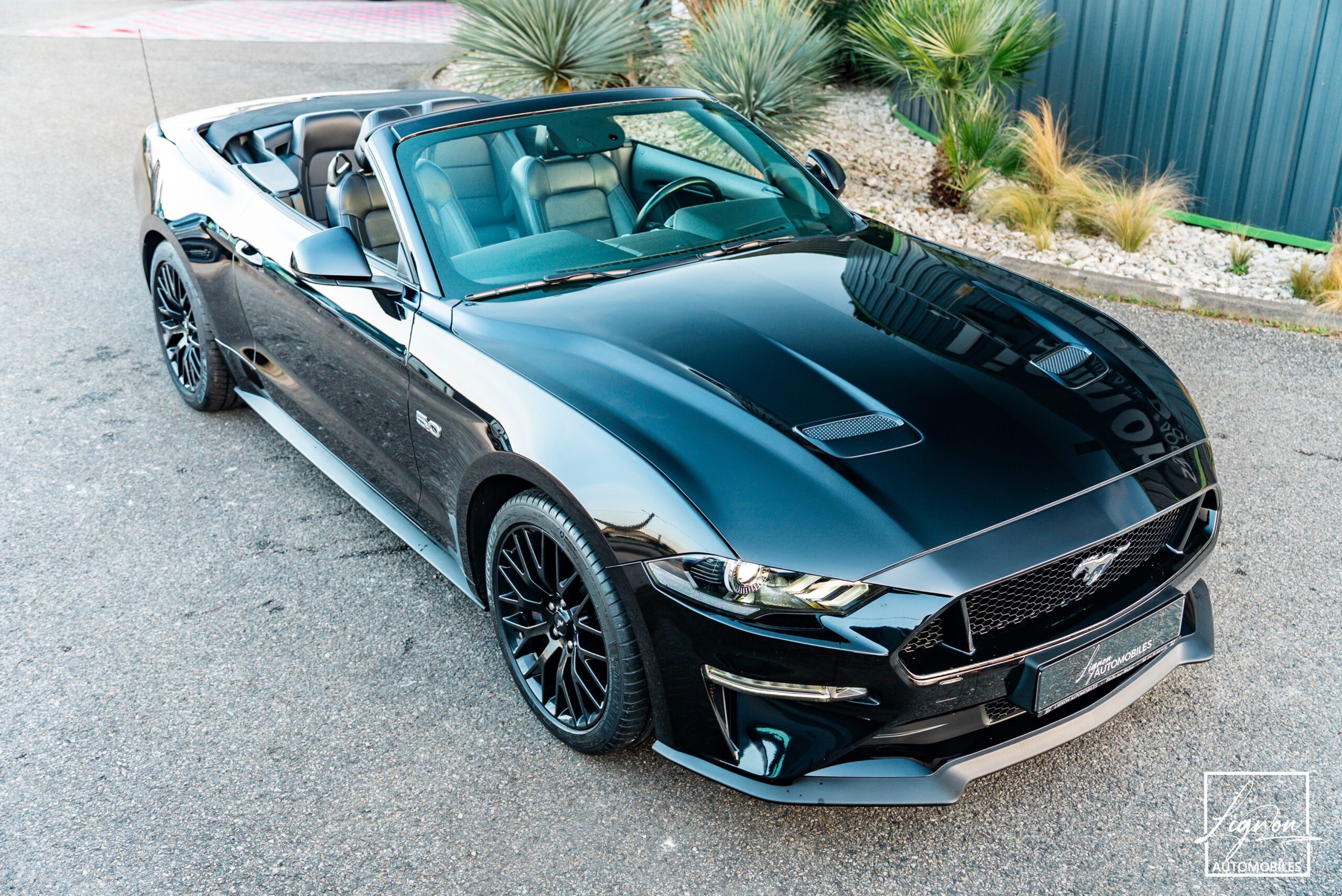 Photo Ford Mustang Cabriolet Gt 5.0l V8 450 Bva10 Premium