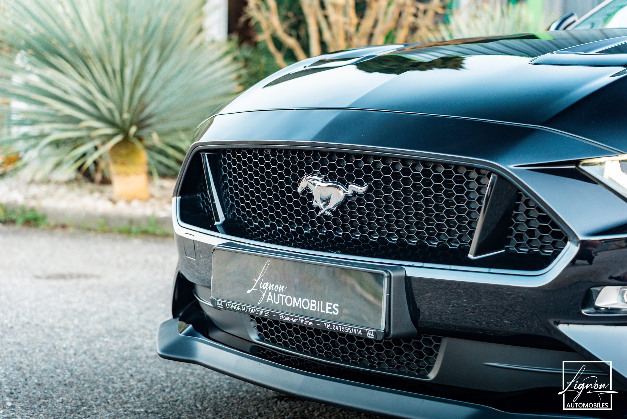 Photo Ford Mustang Cabriolet Gt 5.0l V8 450 Bva10 Premium