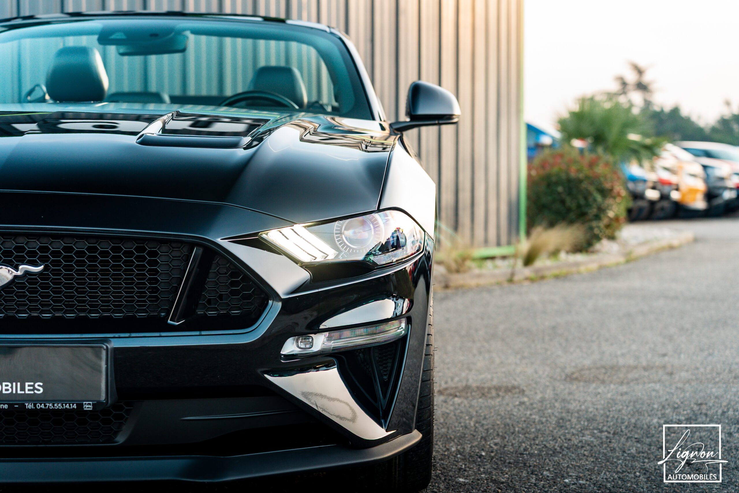 Photo Ford Mustang Cabriolet Gt 5.0l V8 450 Bva10 Premium