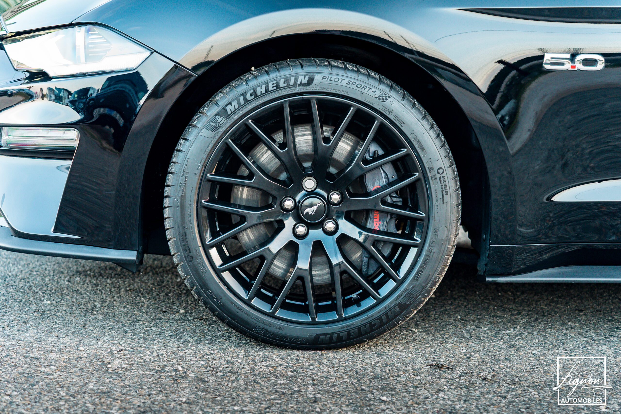Photo Ford Mustang Cabriolet Gt 5.0l V8 450 Bva10 Premium