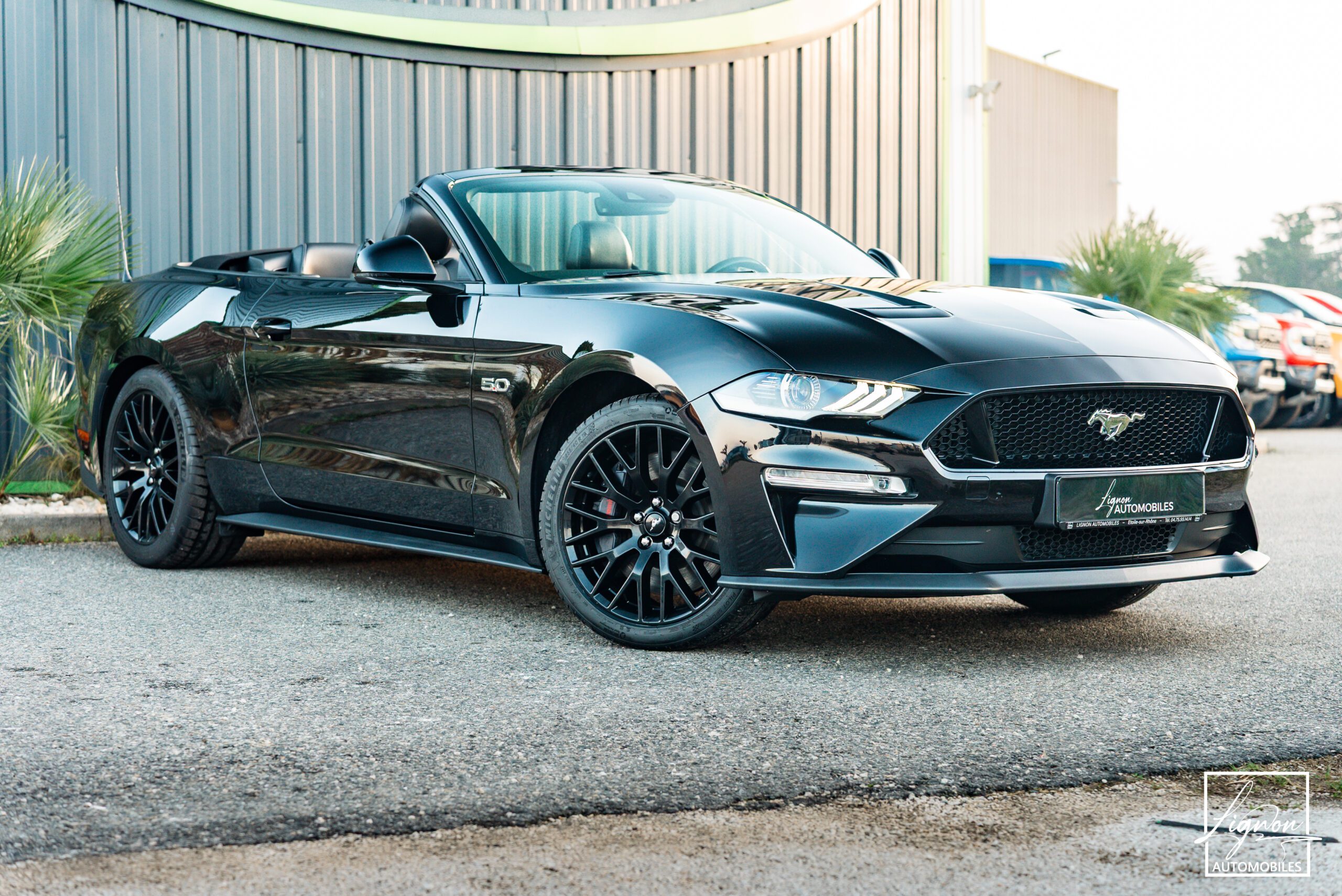Ford Mustang Cabriolet Gt 5.0l V8 450 Bva10 Premium