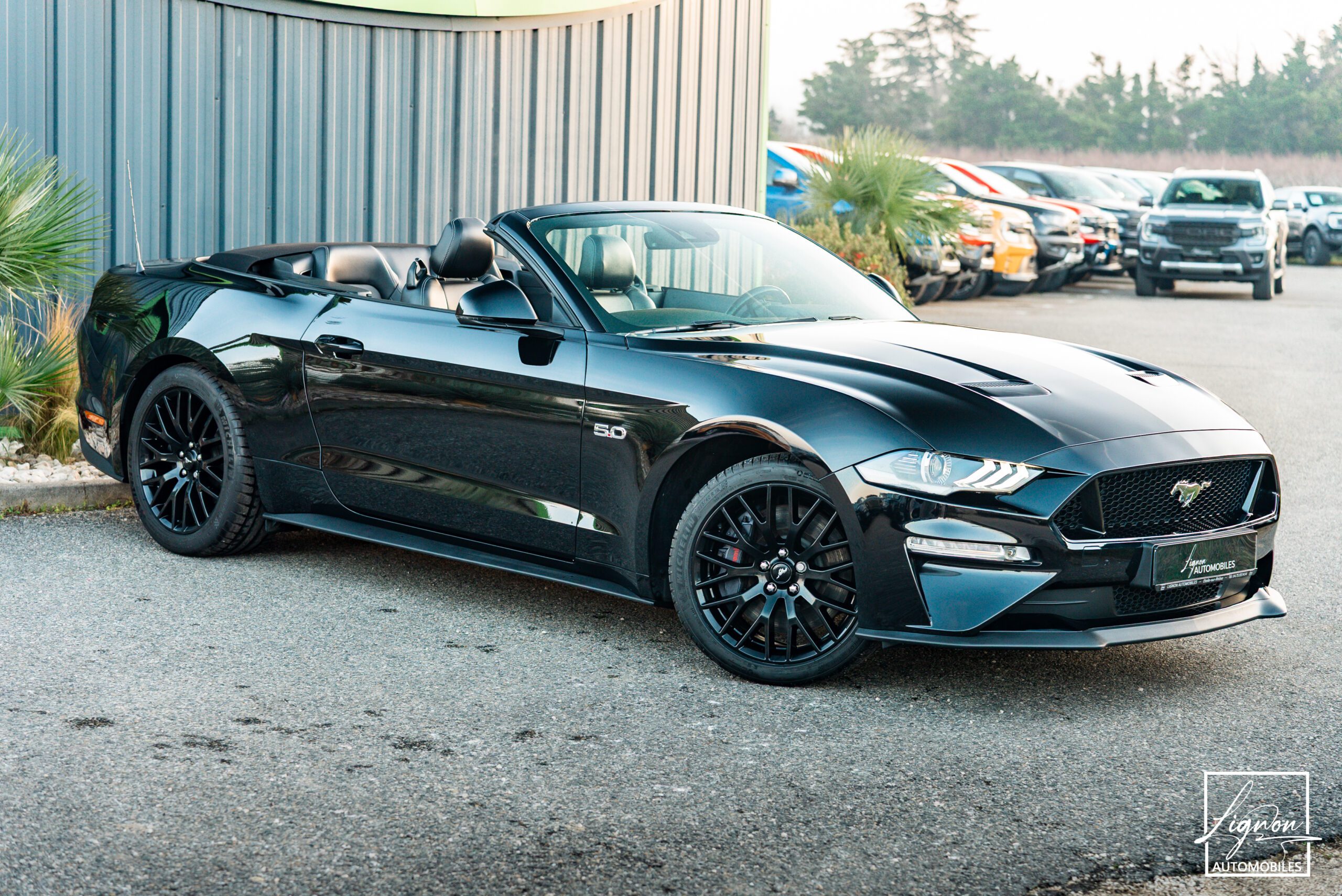 Photo Ford Mustang Cabriolet Gt 5.0l V8 450 Bva10 Premium