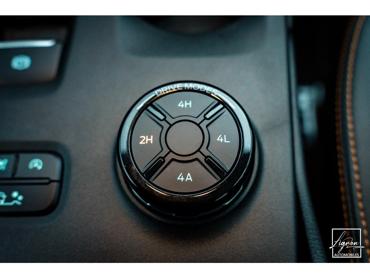 Photo FORD RANGER Wildtrak Double Cabine 2.0 ECOBLUE 205 CH