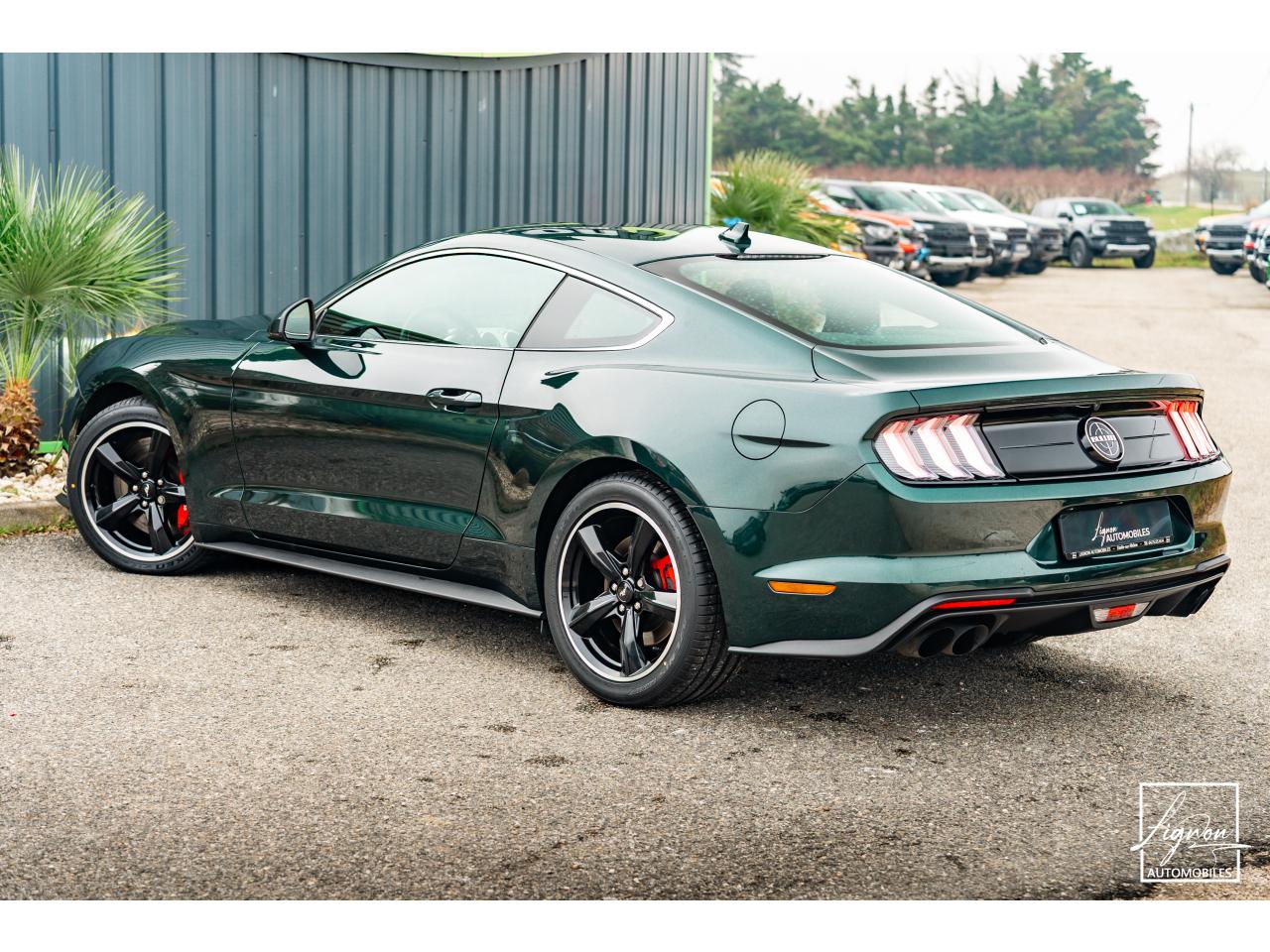 Photo FORD MUSTANG Bullitt GT 5.0 V8 460 ch - Magnerie et Pack Premium