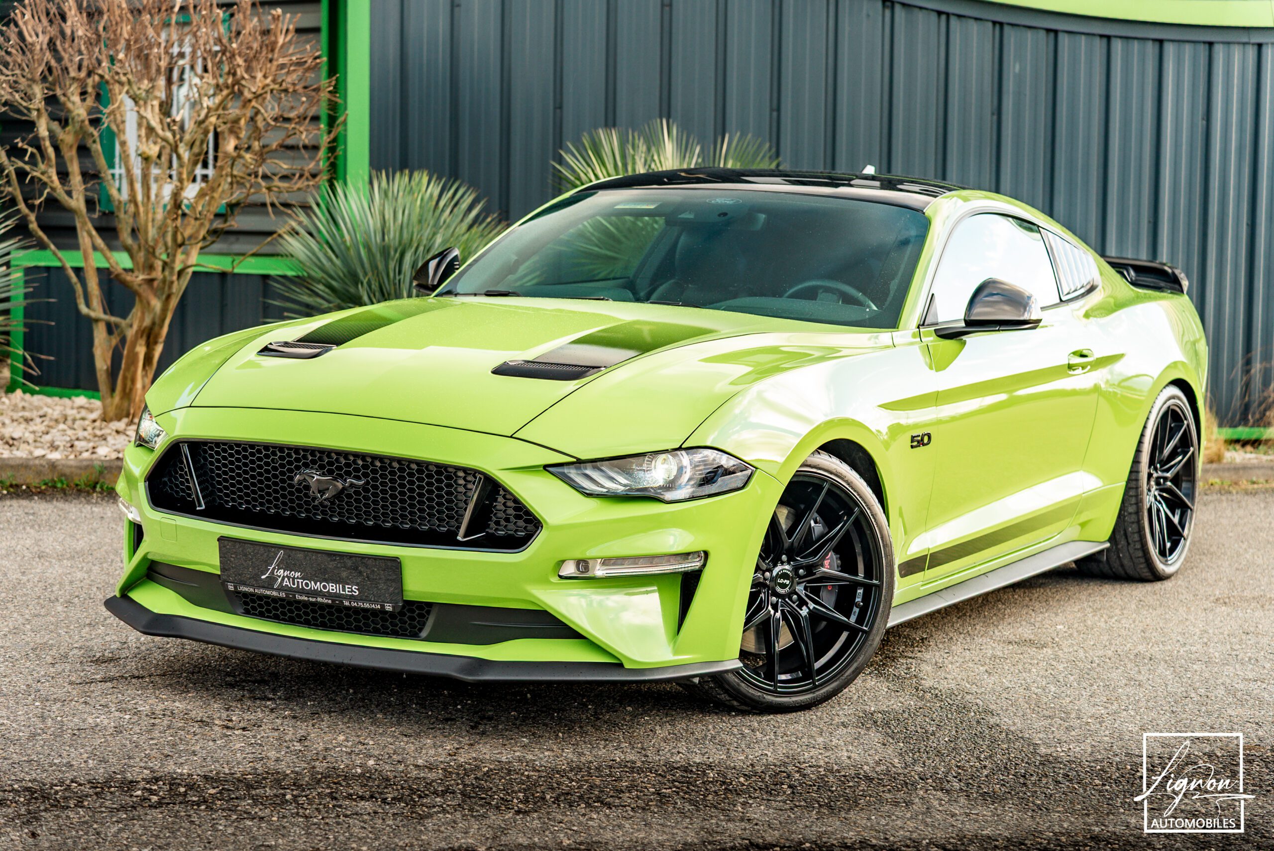 FORD MUSTANG Fastback Gt 5.0l V8 450 BVM6 Premium – 55th