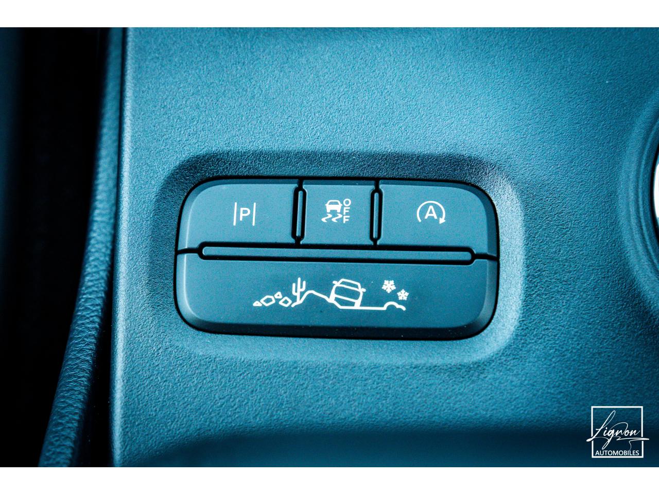 Photo FORD RANGER Raptor NEUF 2025 2.0 Diesel 210 CV BVA10 - Pack assistance remorque - à partir de 650 euros