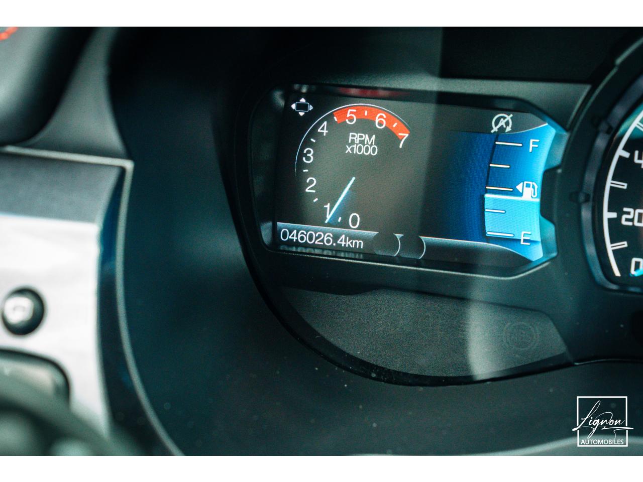 Photo FORD RANGER 2.0 EcoBlue - 213 - BVA - Thunder DOUBLE CABINE - TVA Apparente