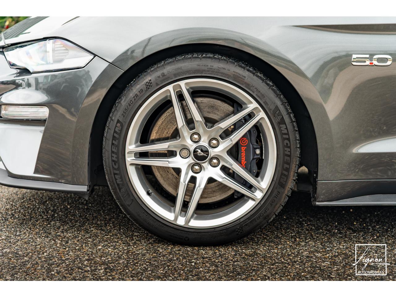 Photo FORD MUSTANG Cabriolet GT 5.0 V8 - 450 - BVA10  2019 - Magneride & BO - 1er main