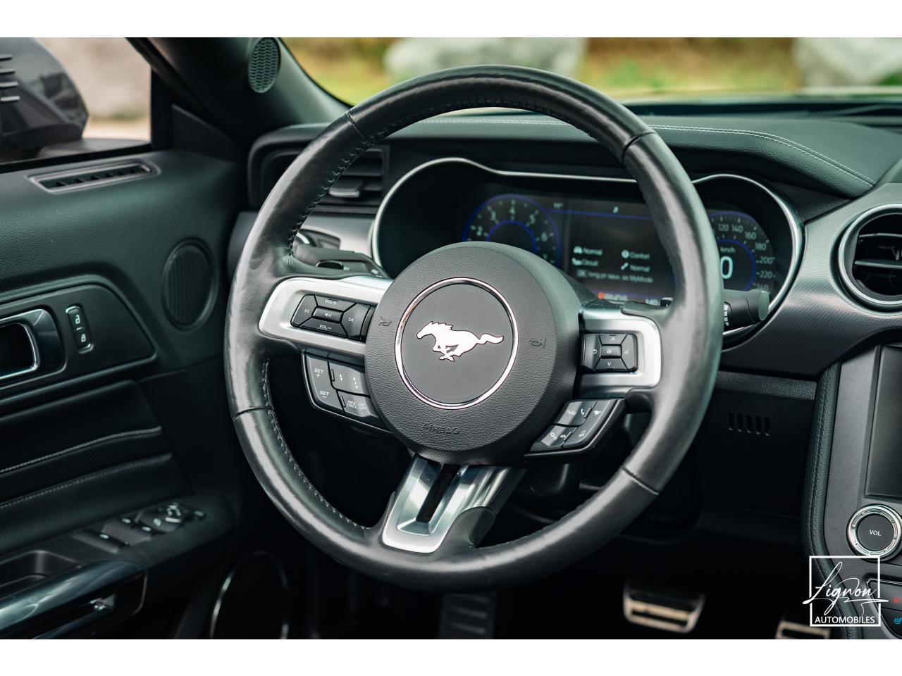 Photo FORD MUSTANG Cabriolet GT 5.0 V8 - 450 - BVA10  2019 - Magneride & BO - 1er main