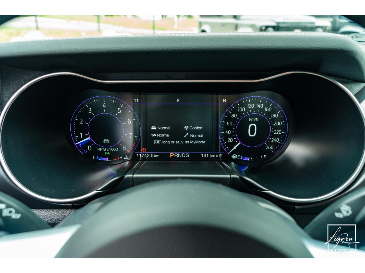 Photo FORD MUSTANG Cabriolet GT 5.0 V8 - 450 - BVA10  2019 - Magneride & BO - 1er main