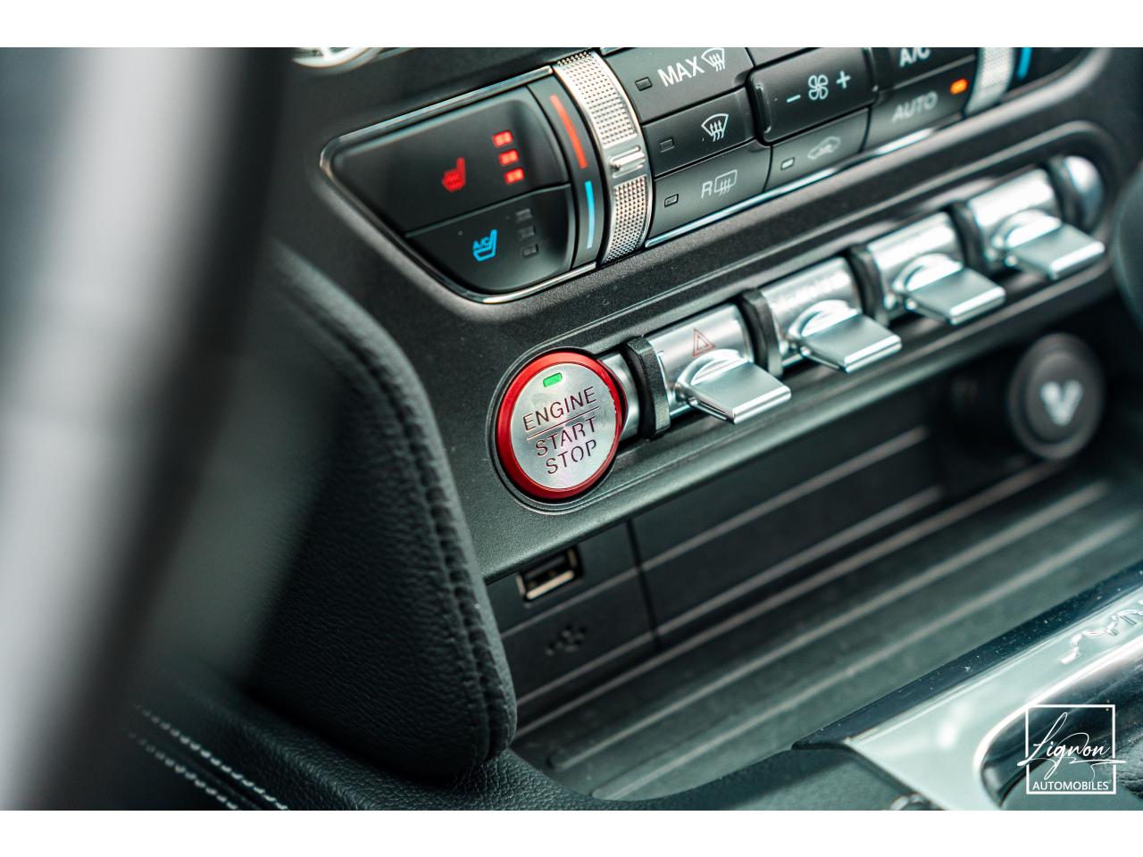 Photo FORD MUSTANG Cabriolet GT 5.0 V8 - 450 - BVA10  2019 - Magneride & BO - 1er main