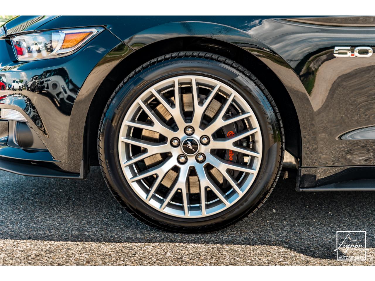 Photo FORD MUSTANG Fastback 5.0 V8 GT - 421  2018 COUPE - 2018 et seulement 6 000km !!