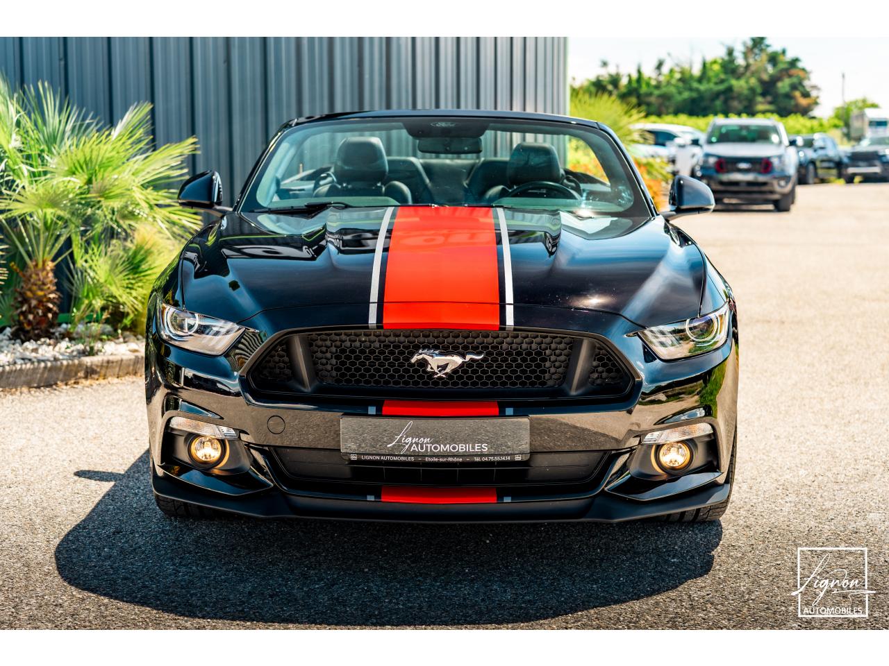 Photo FORD MUSTANG Cabriolet 5.0 V8 - BVA - 421  GT
