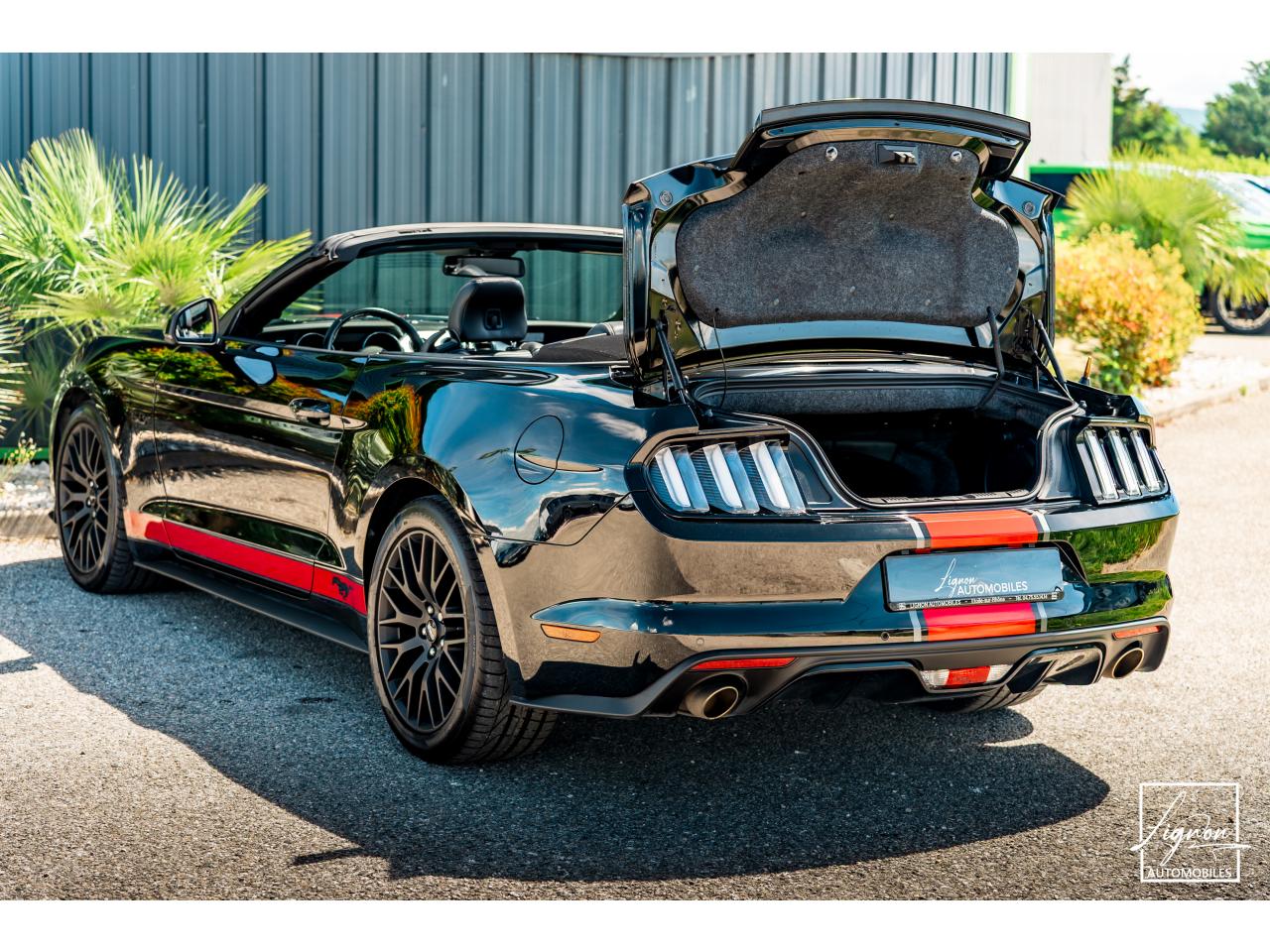 Photo FORD MUSTANG Cabriolet 5.0 V8 - BVA - 421  GT
