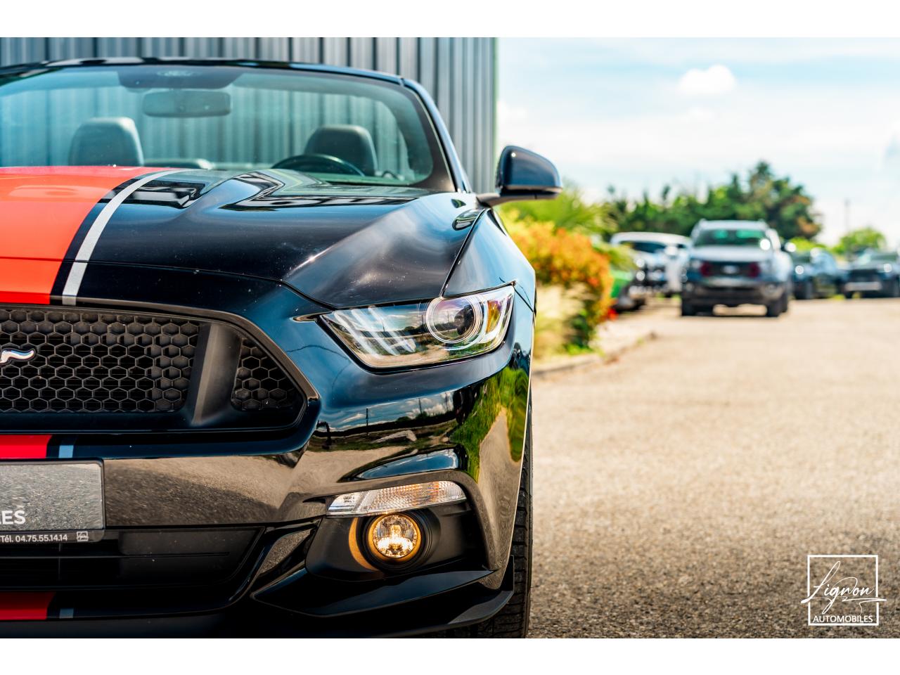 Photo FORD MUSTANG Cabriolet 5.0 V8 - BVA - 421  GT