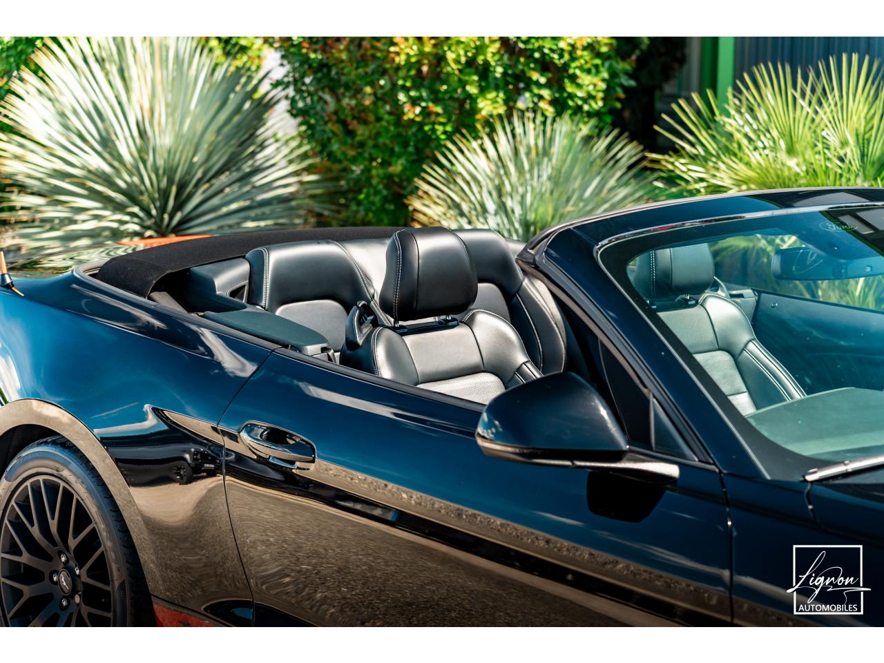 Photo FORD MUSTANG Cabriolet 5.0 V8 - BVA - 421  GT
