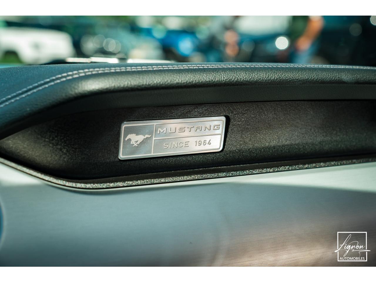 Photo FORD MUSTANG Cabriolet 5.0 V8 - BVA - 421  GT