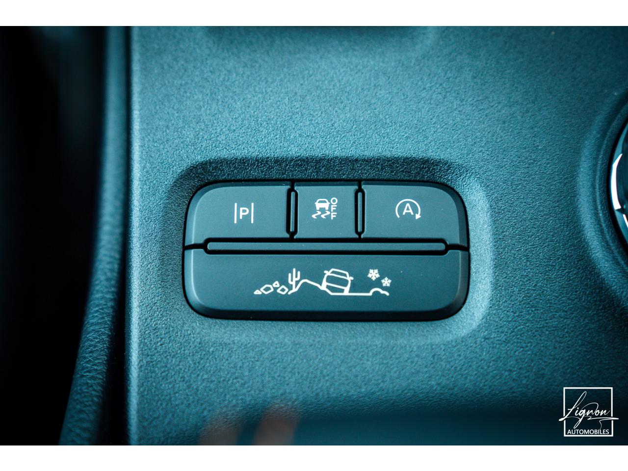 Photo FORD RANGER Wildtrak 3.0 V6 Double Cabine - 240 - BVA 2026 4 places - TVA Apparente