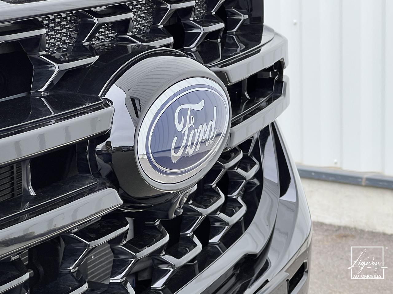 Photo FORD RANGER Stormtrak Double Cabine 5 places - 2.3 EcoBoost GTDi PHEV 281 ch BVA S&S - SANS MALUS