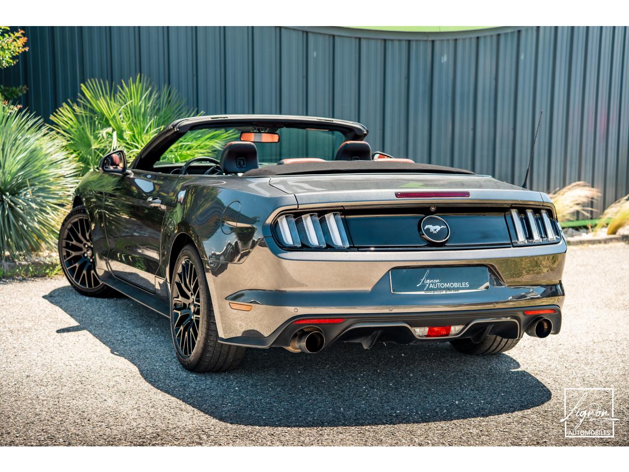 Photo FORD MUSTANG Cabriolet 2.3 EcoBoost - 317 - BVA