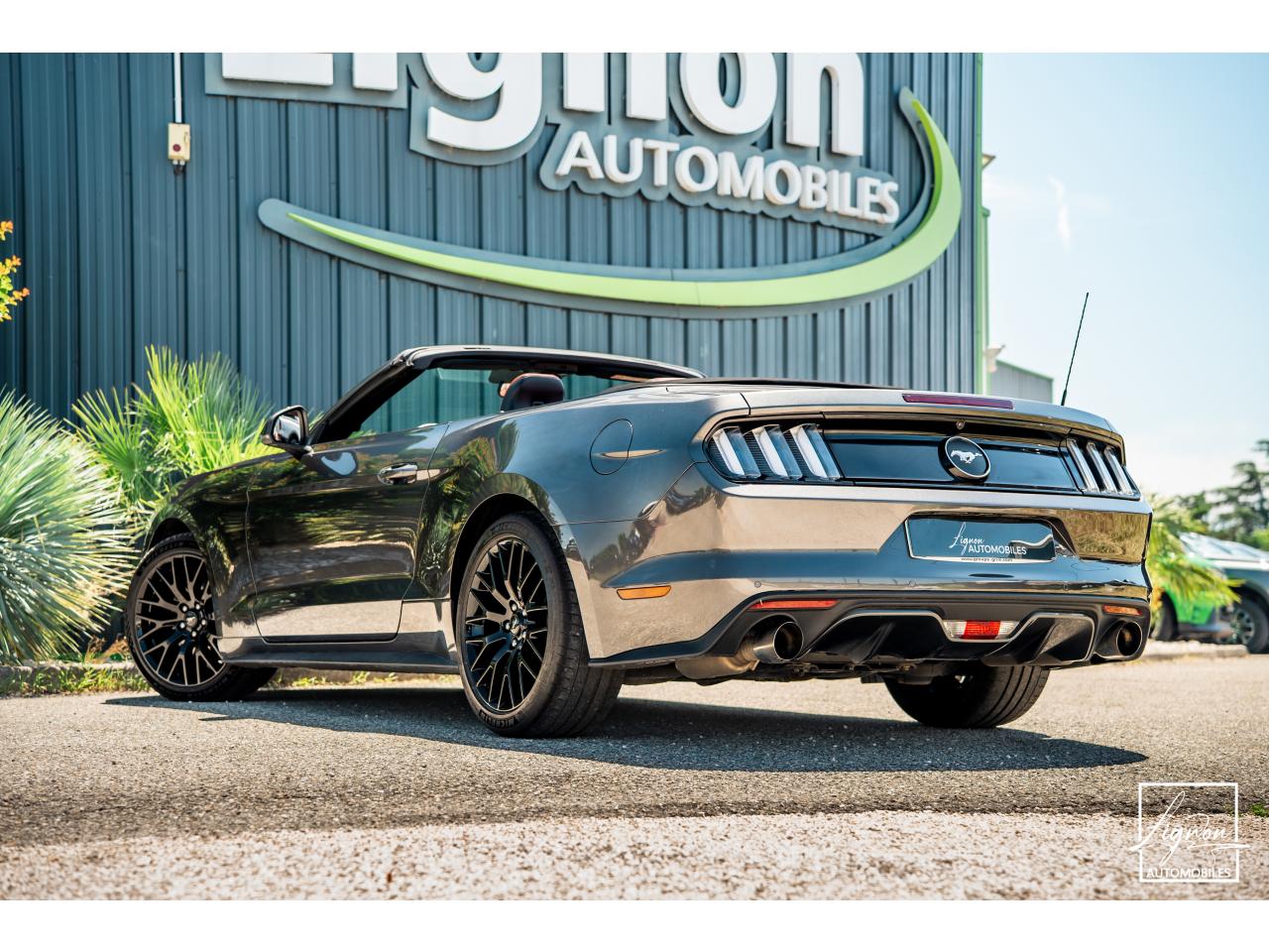 Photo FORD MUSTANG Cabriolet 2.3 EcoBoost - 317 - BVA