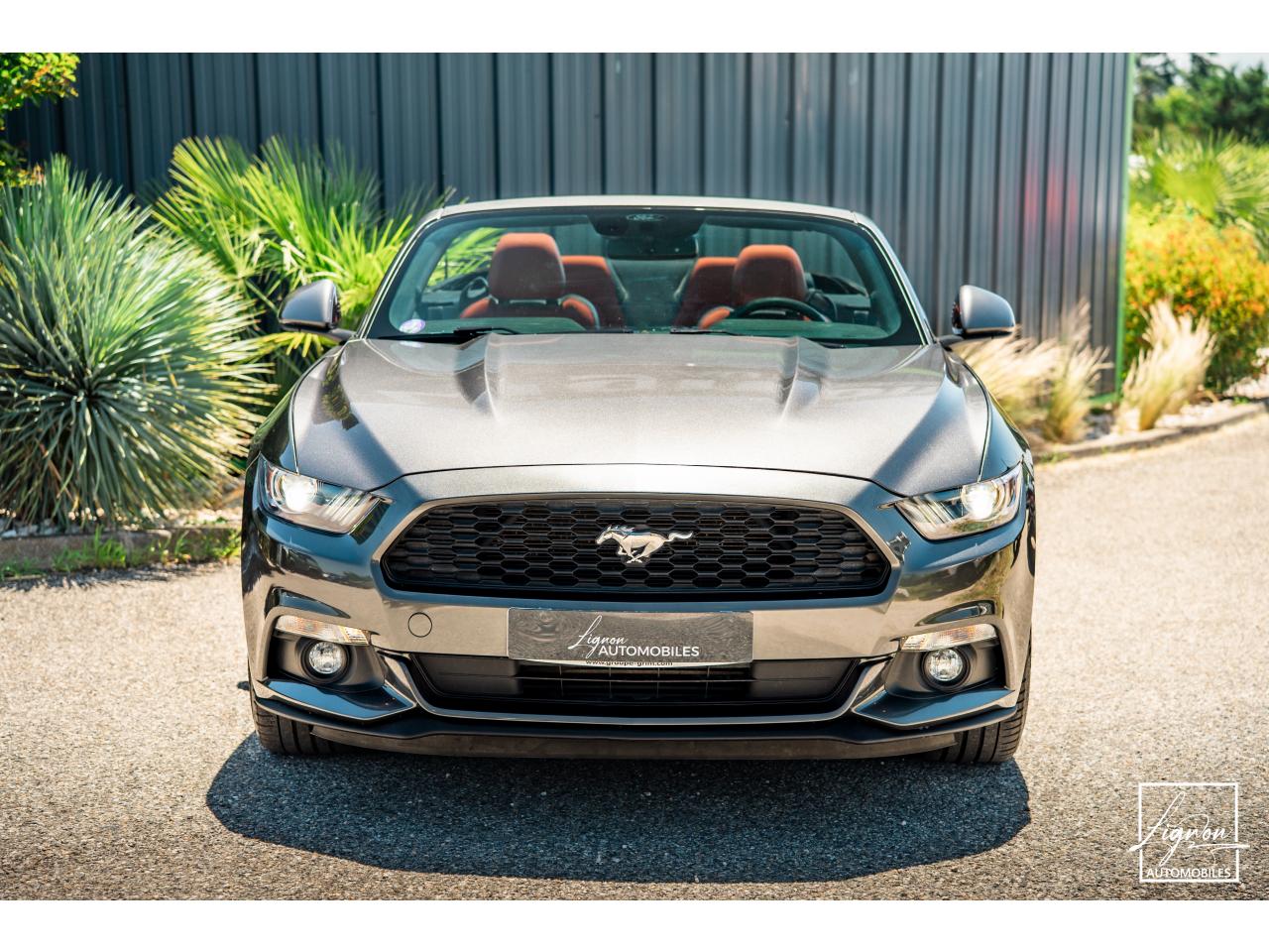 Photo FORD MUSTANG Cabriolet 2.3 EcoBoost - 317 - BVA