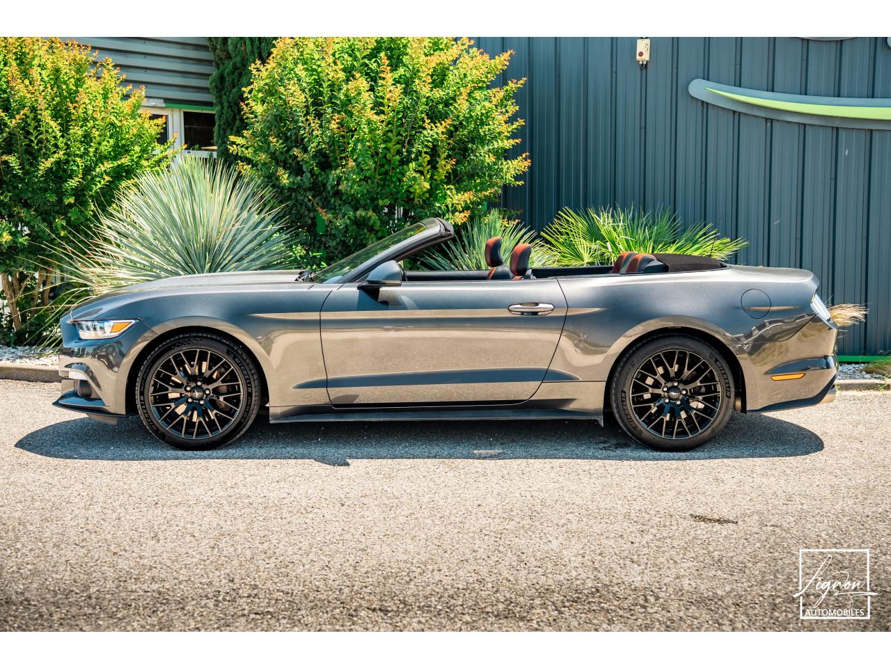 Photo FORD MUSTANG Cabriolet 2.3 EcoBoost - 317 - BVA