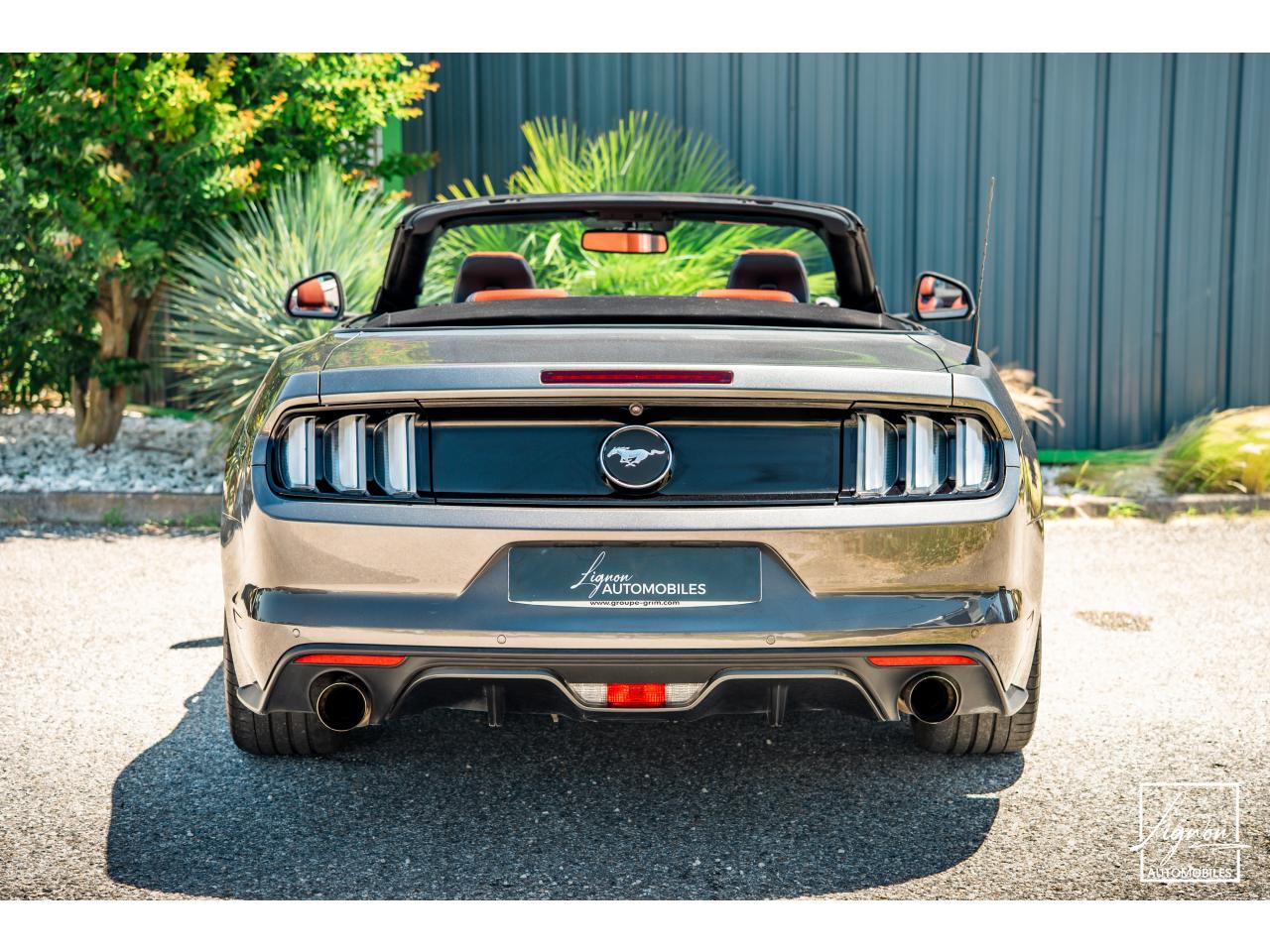 Photo FORD MUSTANG Cabriolet 2.3 EcoBoost - 317 - BVA