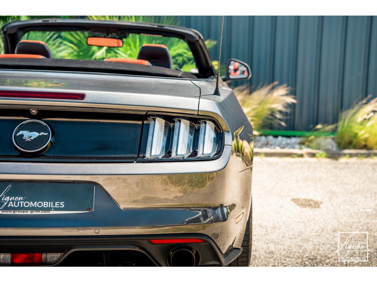 Photo FORD MUSTANG Cabriolet 2.3 EcoBoost - 317 - BVA
