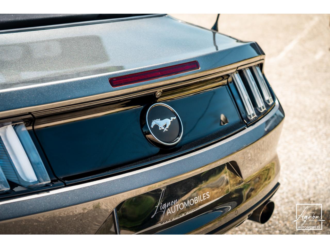 Photo FORD MUSTANG Cabriolet 2.3 EcoBoost - 317 - BVA