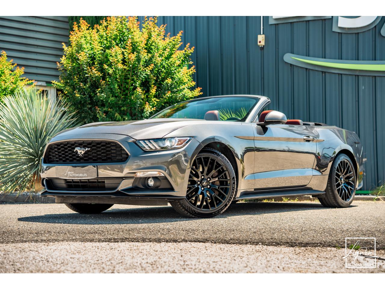Photo FORD MUSTANG Cabriolet 2.3 EcoBoost - 317 - BVA