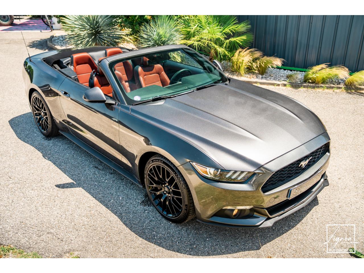 Photo FORD MUSTANG Cabriolet 2.3 EcoBoost - 317 - BVA