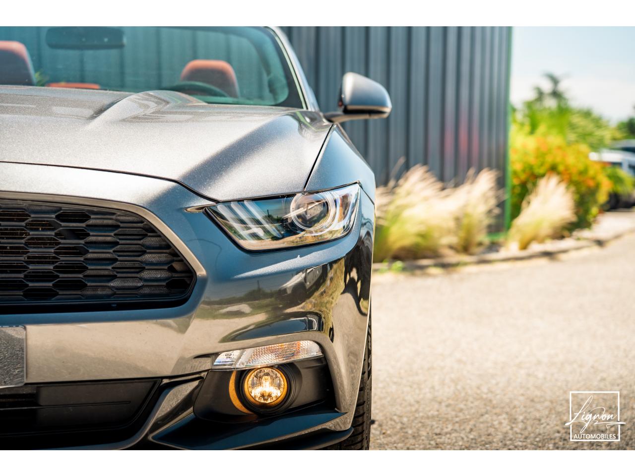 Photo FORD MUSTANG Cabriolet 2.3 EcoBoost - 317 - BVA
