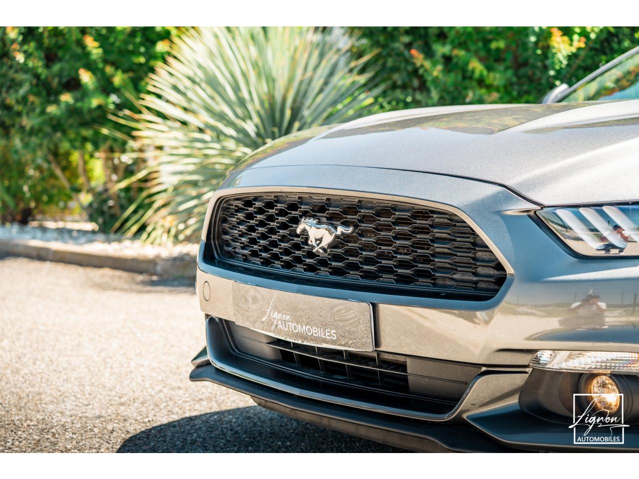 Photo FORD MUSTANG Cabriolet 2.3 EcoBoost - 317 - BVA