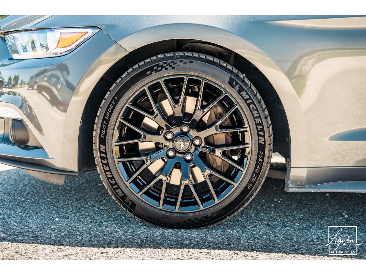 Photo FORD MUSTANG Cabriolet 2.3 EcoBoost - 317 - BVA