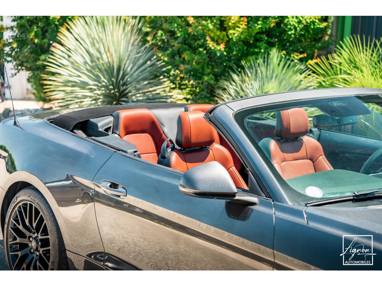 Photo FORD MUSTANG Cabriolet 2.3 EcoBoost - 317 - BVA